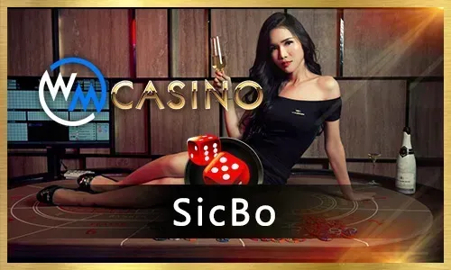 1win Sports Betting